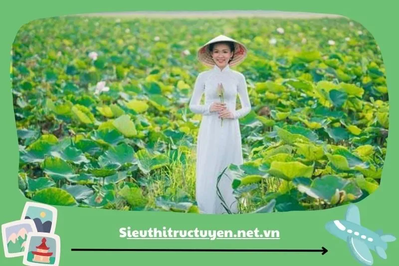 Làng Sen quê Bác - Nét đẹp giản dị và yên bình cho ảnh cưới